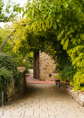 Fototapeta Naklejka Na Ścianę i Meble -  alley entrance with archway made of green plants 