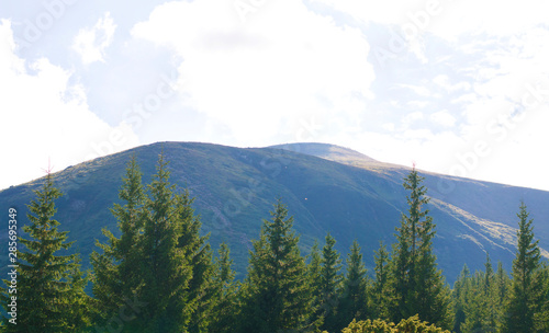 Fototapeta Naklejka Na Ścianę i Meble -  mountains against the blue sky