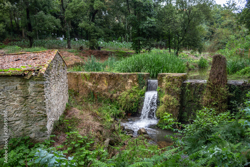 Rustic mill, water stream used for agriculture