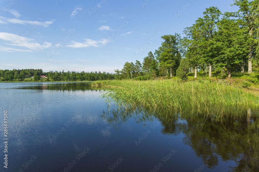 Beautiful view of lake landscape surrounded with green forest trees and plants. Blue sky reflecting in mirror water surface. Sweden. Europe. 