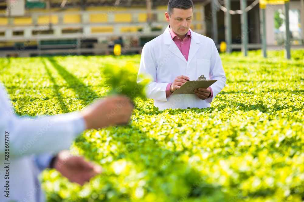 Portrait of male botanist standing with clipboard amidst herbs in greenhouse Portrait of male botanist standing with clipboard amidst herbs in greenhouse