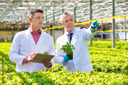 Photo of two male botanist examining herbs while writing on clipboard in plant nursery photo