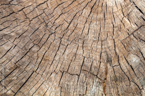 Brownish Cracked Cut Wood Texture