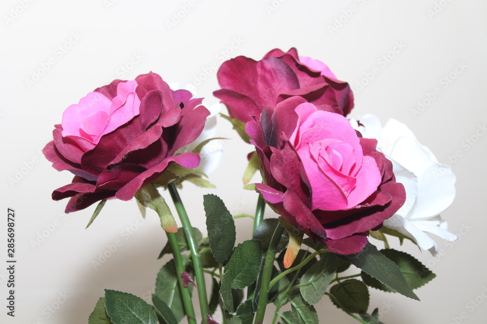Fototapeta premium Beautiful flowers of intense colors and of great beauty