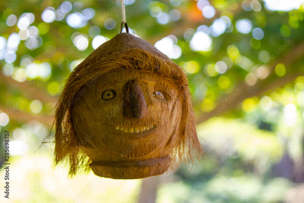 Handicraft with dry coconut carving its fibers (mesocarp) forming a human face Handicraft with dry coconut carving its fibers (mesocarp) forming a human face