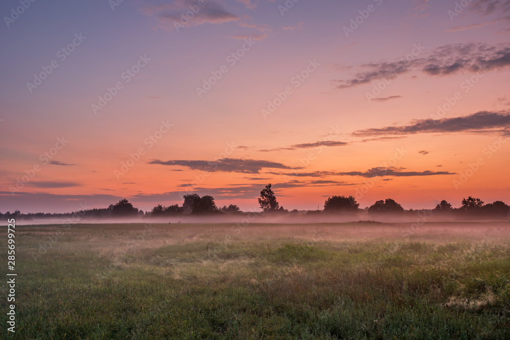 Amazing view of the misty meadow, view after sunset