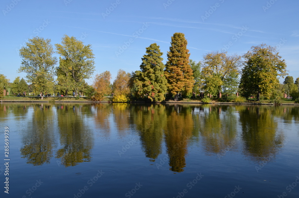 Trees and reflections on blue water in Herastrau Park in Bucharest, in a sunny autumn day