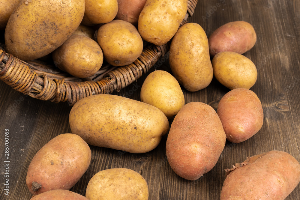 Potato tubers lie on a dark gray wooden board near a wicker wooden basket that has fallen on its side. Potato tubers lie on a dark gray wooden board near a wicker wooden basket that has fallen on its side.
