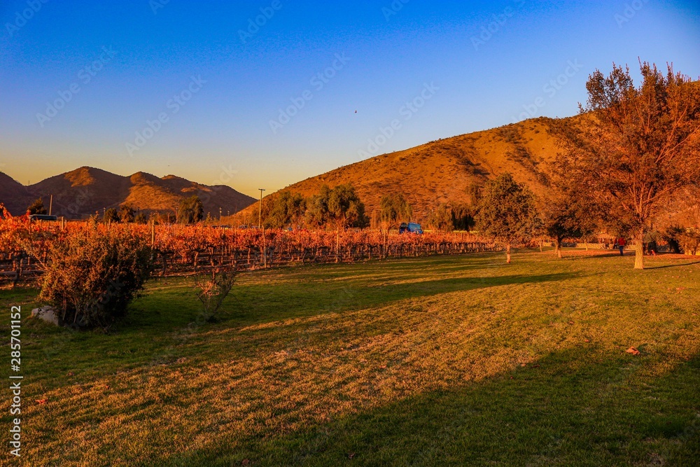 Tour em outono nos vinhedos, com vinícolas, jardins e museu que termina com uma degustação de vinhos - A Viña Santa Rita é uma das mais antigas e tradicionais vinhas do Chile Tour em outono nos vinhedos, com vinícolas, jardins e museu que termina com uma degustação de vinhos - A Viña Santa Rita é uma das mais antigas e tradicionais vinhas do Chile