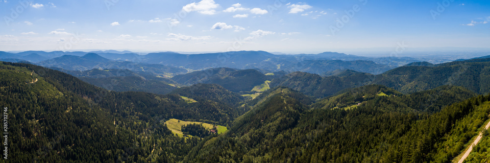 Fototapeta premium Schwarzwald Panorama