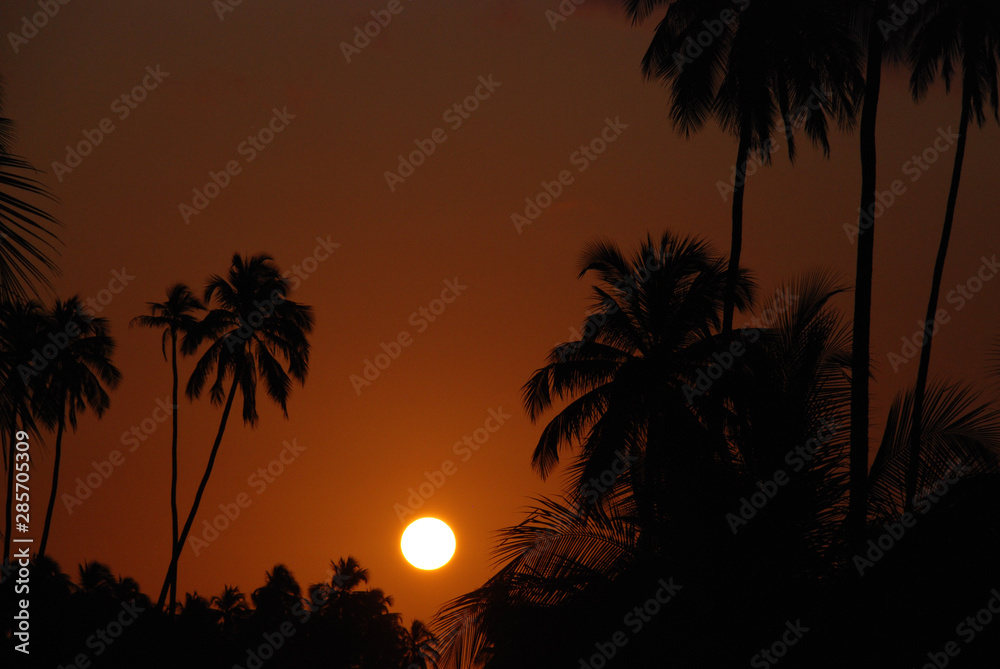 Fototapeta premium Por do sol na Praia do Patracho, Alagoas, nordeste do Brasil.
