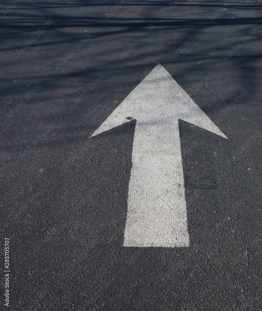 White Arrow on Asphalt road, traffic sign, this way White Arrow on Asphalt road, traffic sign, this way