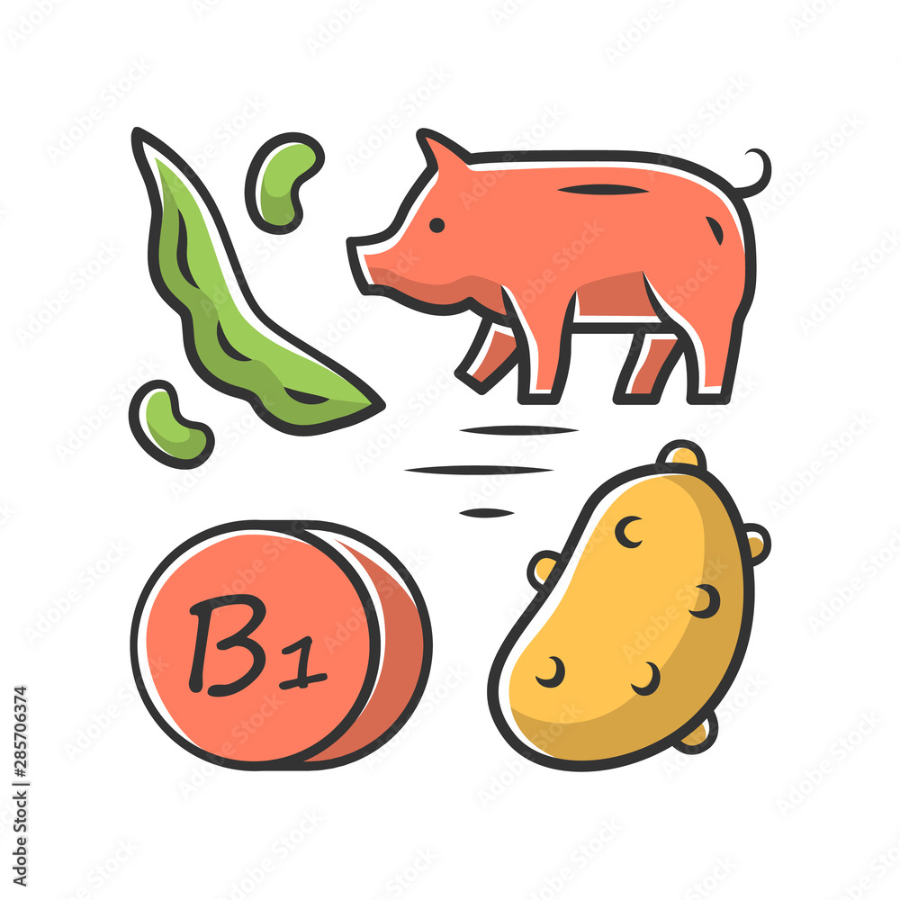Vitamin B1 red color icon. Potato, pork and green bean. Healthy eating