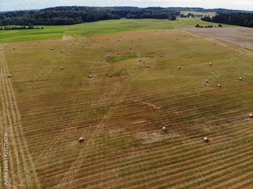 Aerial view of hay bales in the farmfield photo