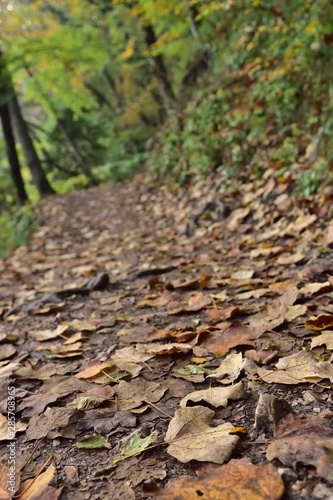 Landscape in the beautiful Plitvice National Park, in Croatia, in the fall