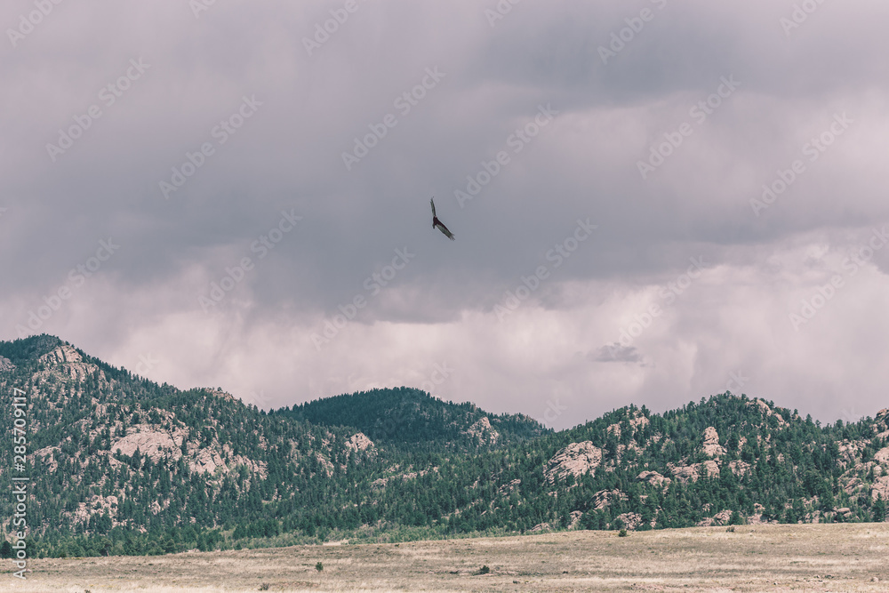 Beautiful landscape of the mountains and blue sky and a flying eagle Beautiful landscape of the mountains and blue sky and a flying eagle