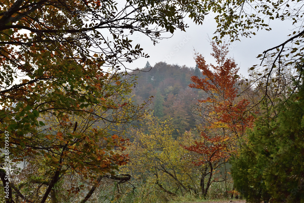 Landscape in Plitvice National Park, Croatia, in the fall