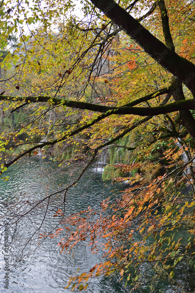 Landscape in Plitvice National Park, Croatia, in the fall Landscape in Plitvice National Park, Croatia, in the fall
