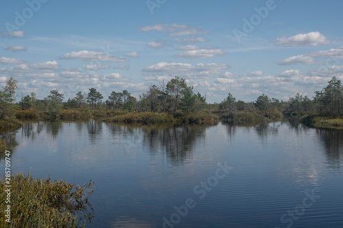 Lakes of Yelnya swamp - National Landscape Reserve, Belarus