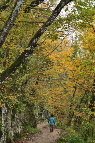 Cute boy traveling in Plitvice National Park, Croatia, in the fall