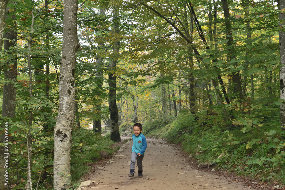 Fototapeta premium Cute boy traveling in Plitvice National Park, Croatia, in the fall