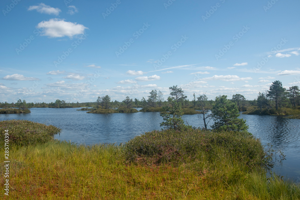 Lakes of Yelnya swamp - National Landscape Reserve, Belarus Lakes of Yelnya swamp - National Landscape Reserve, Belarus