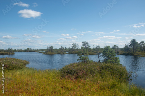 Lakes of Yelnya swamp - National Landscape Reserve, Belarus