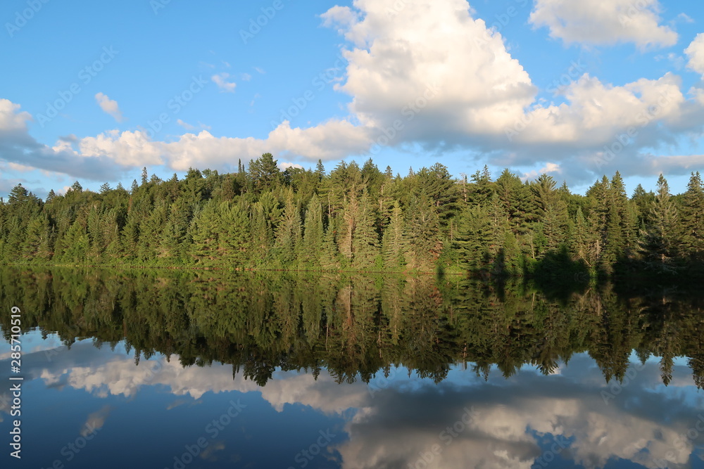 lake in forest with reflection