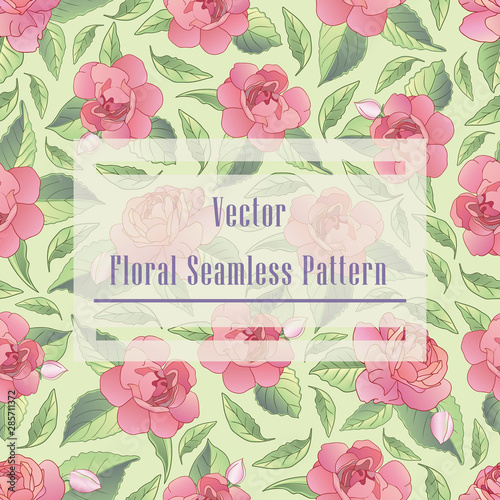 balzamin collection-05