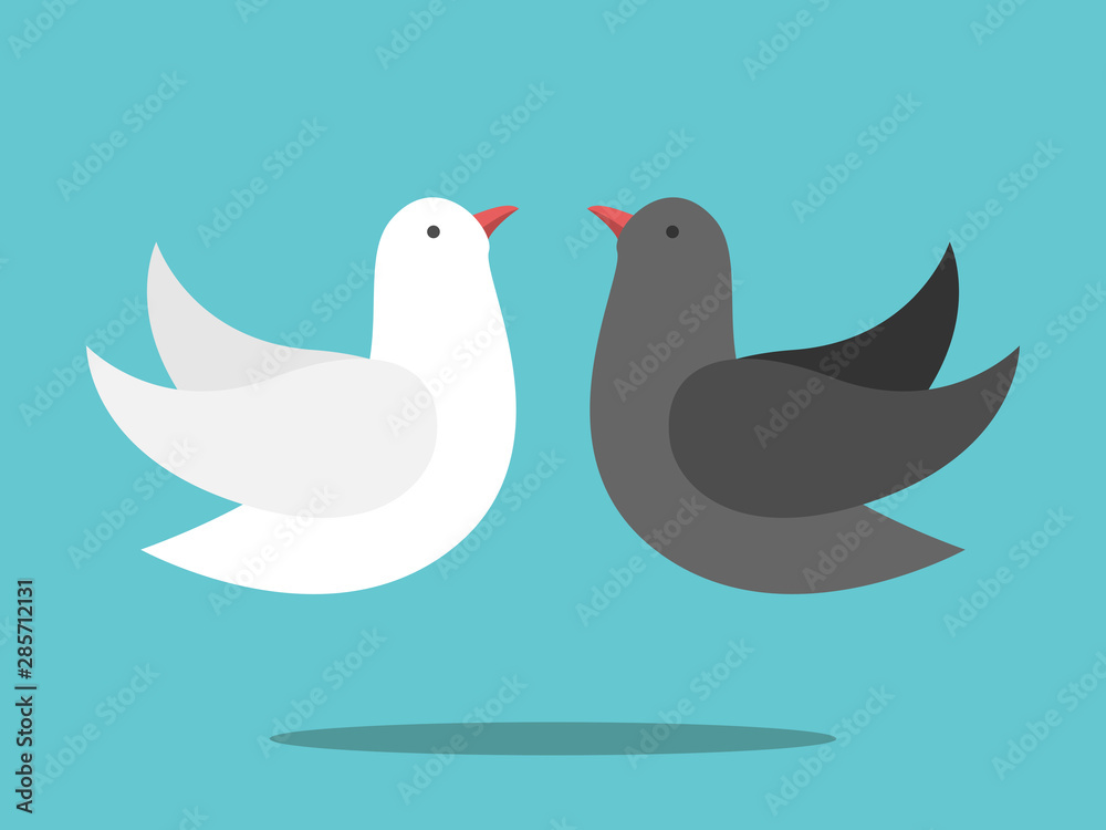White, black doves couple White, black doves couple