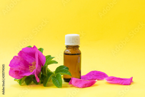 Dark glass bottle with white cap on bright yellow background with dog roses blooming flower and petals. Anti-ageing moisturizing ingredient in cosmetics  source of vitamin E