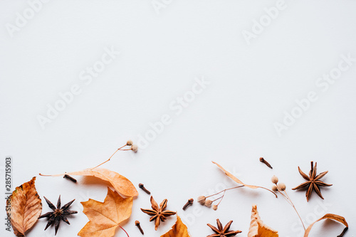 Autumn background  border of dried leaves on white. Fall composition  thanksgiving day  seasonal sale concept. Flat lay  top view  copy space