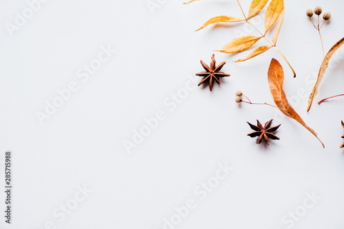 Autumn floral design greeting card. Fall yellow leaves composition on white surface. Thanksgiving day, seasonal concept. Copy space. © Vadym