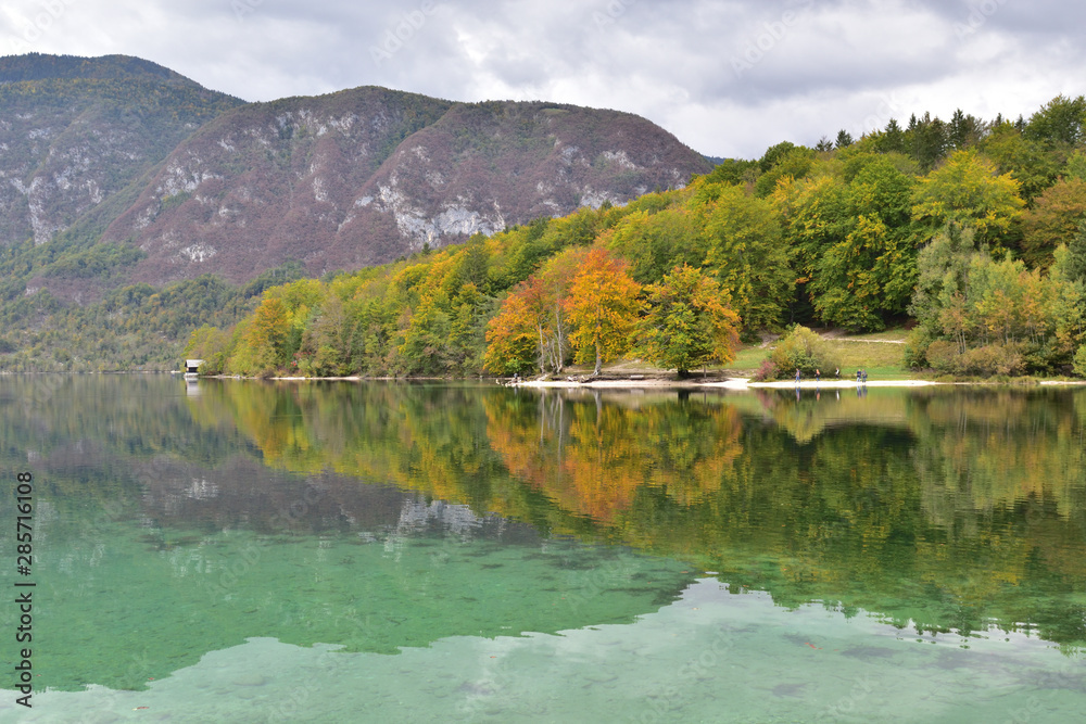 Fototapeta premium Landscape in Slovenia, in the fall, with colorful trees