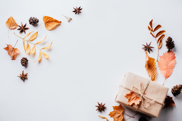 Autumn vibes, thanksgiving day present, seasonal sale concept. Fall composition, background made of dried leaves, pine cones and nuts on white. Copy space