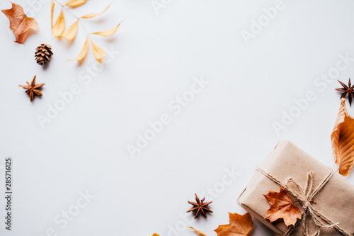 Autumn vibes, thanksgiving day present, seasonal sale concept. Fall composition, background made of dried leaves, pine cones and nuts on white. Copy space