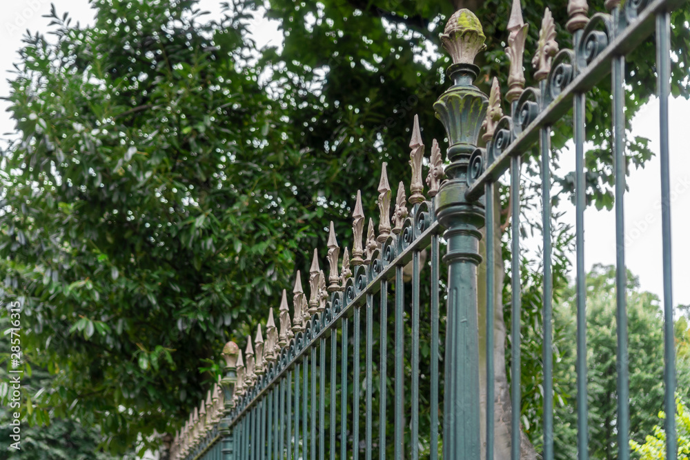 Iron black fence with golden peaks Iron black fence with golden peaks
