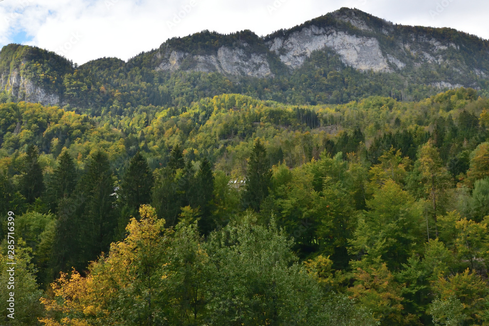 Landscape in Slovenia, in the fall, with colorful trees