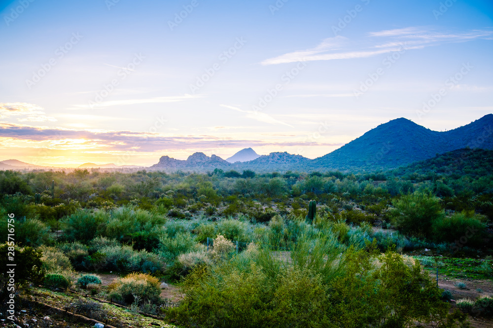 Arizona Desert Sunrise off of Loop 303 in North Phoenix Arizona Desert Sunrise off of Loop 303 in North Phoenix