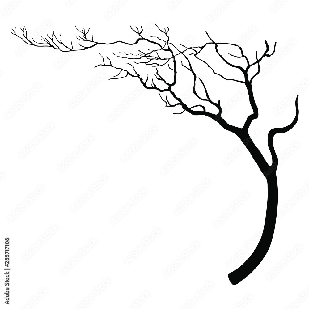 Silhouette of a bare deciduous tree or tree branch. Stock Vector