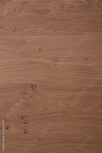 elegant brown wood texture.