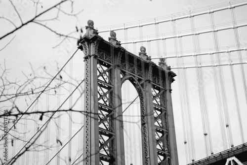 NYC Manhattan Bridge New York City With Tree Branch Framing Black And White