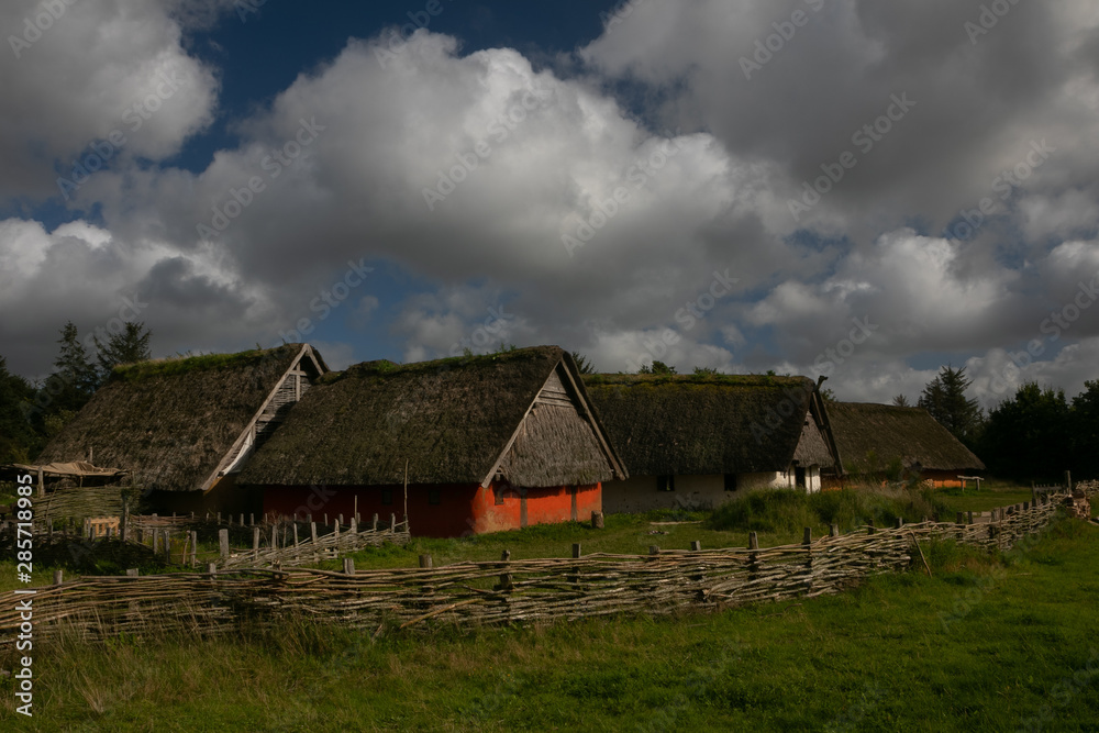 viking houses Ribe