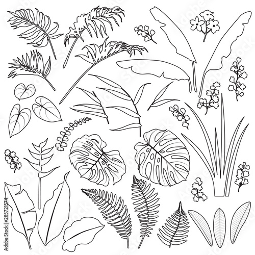 Tropical Leaves and Flowers Outline  Set