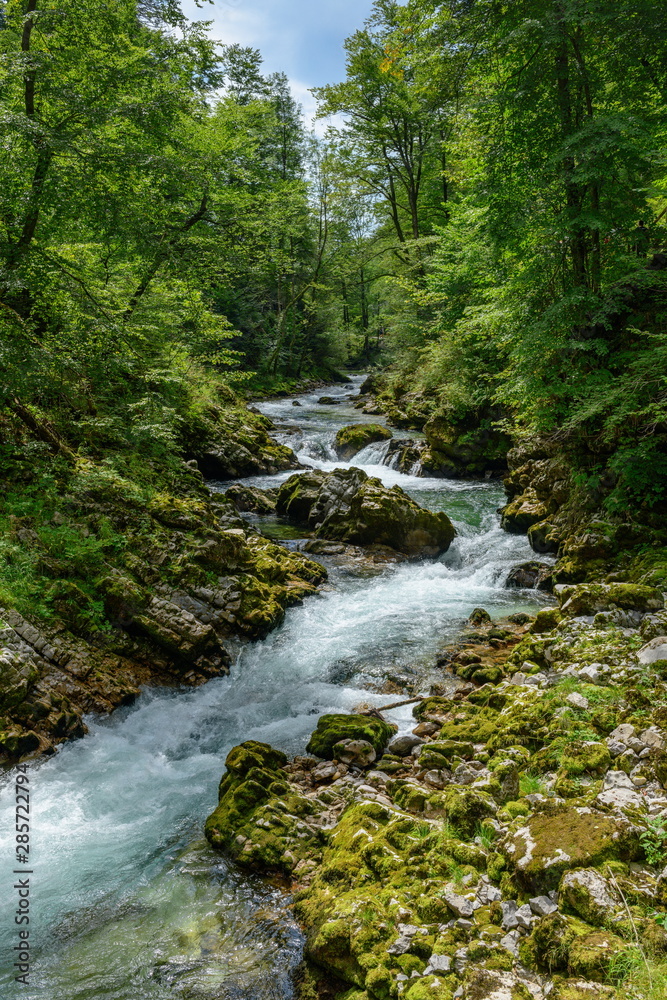 Beautiful landscape with a mountain river Radovna.