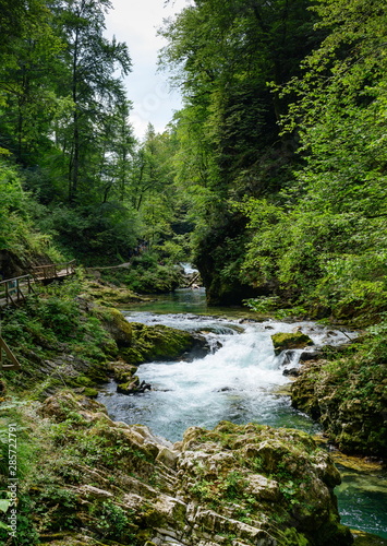 The rapid flow of a mountain river Radovna.