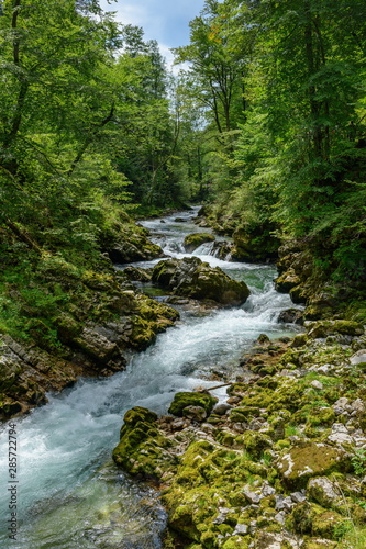 Beautiful landscape with a mountain river Radovna.