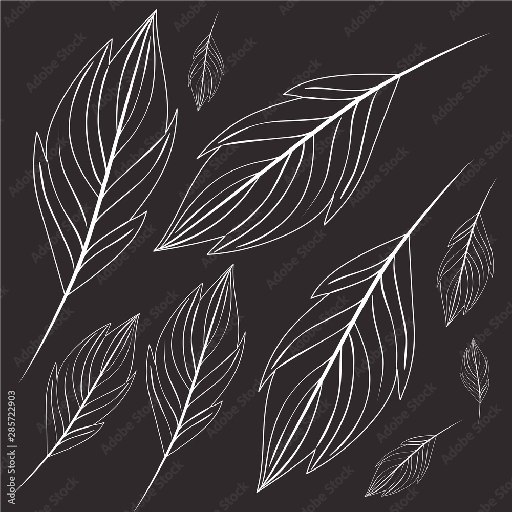 Fototapeta premium pattern of branch and leaf icon