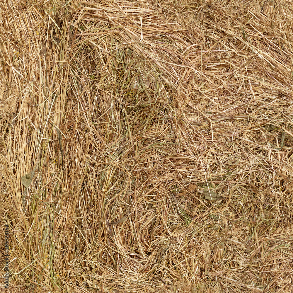 Seamless texture of straw texture in 4k resolution Seamless texture of straw texture in 4k resolution