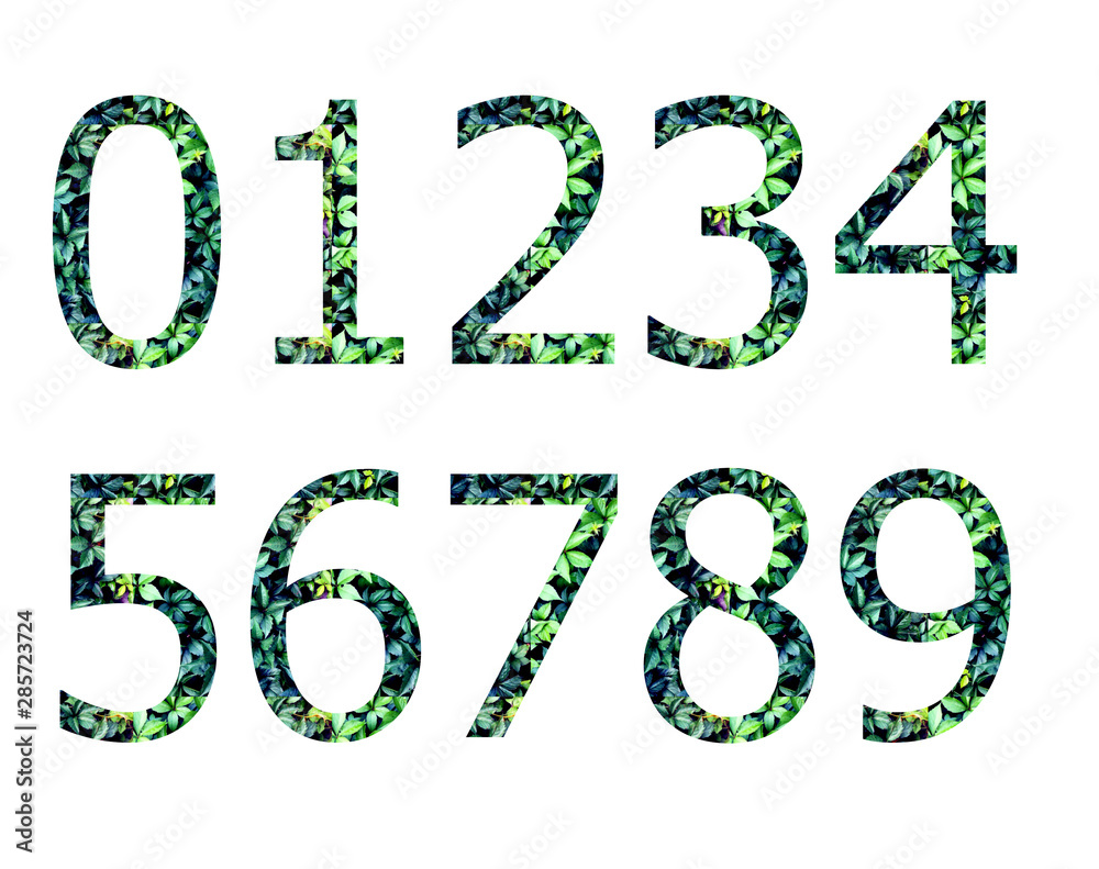 Set of numbers from leaves Set of numbers from leaves